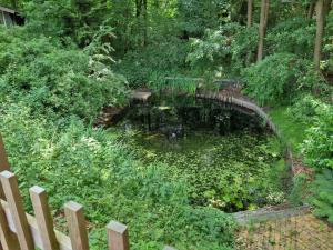 a pond in the middle of a garden at Ferienhaus Paulsen - gemütliches Häuschen mit vollständig eingezäuntem Garten und Kamin in Silberstedt