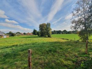 a fence in a field with green grass and trees at Ferien am Idasee 85041 in Ostrhauderfehn