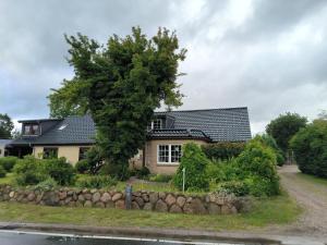 a house with a tree in front of it at Ferienwohnung Hinz - Gemütliche Unterkunft für 2 Personen mit modernem Bad in Ellingstedt