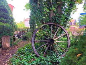 an old wooden wagon wheel leaning against a tree at Ferienhaus am Wiesenweg in Hosena