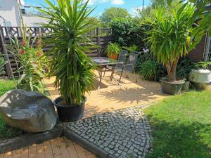 a patio with a table and palm trees in a yard at Ferienhaus am Wiesenweg in Hosena