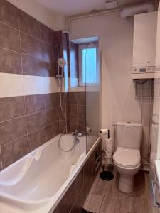 a bathroom with a toilet and a bath tub at T3 spacieux - Centre et Technhom in Belfort
