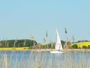 a sailboat on a lake with grass in the foreground at Bungalow Nr_ 7 _ 8 in Binz