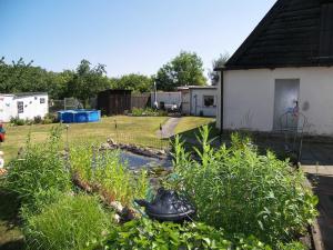 a backyard with a yard with a house and a pond at Reethaus Natalie in Korswandt