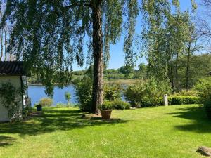 a tree in a yard next to a lake at Ferienhaeuser Poenitz am See in Klingberg