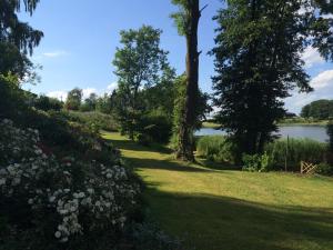 a path through a park next to a lake at Ferienhaeuser Poenitz am See in Klingberg