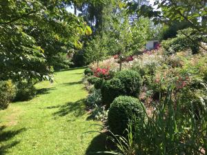 a garden with a bunch of flowers and bushes at Ferienhaeuser Poenitz am See in Klingberg +22 photos