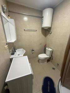 a small bathroom with a toilet and a sink at Apartment on Angisa, 78 in Batumi +3 photos
