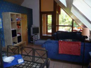 a living room with a blue couch and a window at 4_Zimmer_Ferienwohnung in Wathlingen