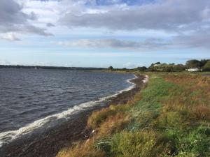 a shoreline of a body of water with grass at Ferienwohnung Michel in Glücksburg +11 photos