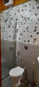 a bathroom with a toilet and a wall covered in debris at Wonderville Villa in Cuncolim +7 photos