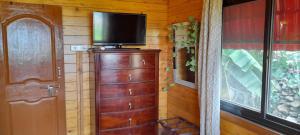 a television on top of a dresser in a room at Wonderville Villa in Cuncolim