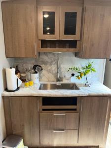 a kitchen with wooden cabinets and a sink at Paradise RV in Tampa +7 photos