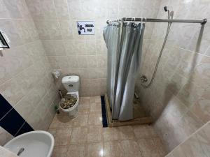 a bathroom with a shower with a toilet and a sink at Hotel Parus in Balykchy