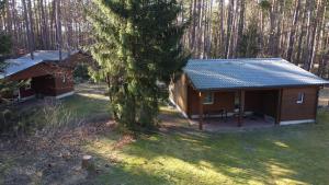 a small cabin in the middle of a forest at Dependance Ferienhäuser am Kastavensee in Lychen