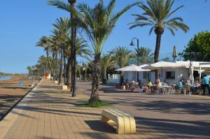 a sidewalk with palm trees and people sitting at tables at Albatros Playa 3 - 1207 in Mar de Cristal