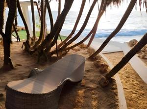 a shoe laying on the beach next to a palm tree at Refuge Boutique Villa in Hikkaduwa +12 photos