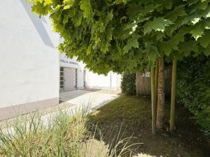 a tree in a yard next to a building at Villa Annika - Whg 06 in Ostseebad Sellin