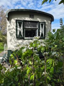 a small shed with a window on it at Pipowagen ''Slapen by Co'' in Leerdam +16 photos