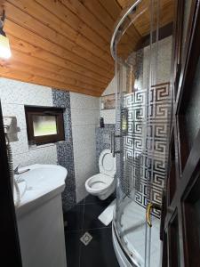 a bathroom with a toilet and a sink at Pensiunea Eugenia in Bran +69 photos