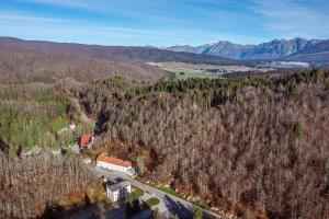 an aerial view of a train in a forest at Ristoro la Crosetta in Caneva