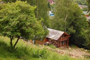 een houten hut op een heuvel bij PetrikHolm in Tatariv