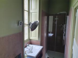 a bathroom with a sink and a shower and a mirror at château de La Colinière - vue sur parc in Champtoceaux