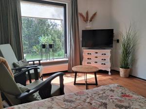 a living room with a television and a window at B&B De Zeeaster in Kimswerd