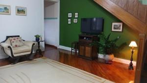 a living room with a green wall and a television at Muito espaço e natureza no meio da cidade in Santos