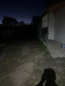 a shadow of a dog in a yard at night at Бекбол in Sovetskoye