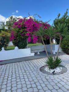 a park with pink flowers and palm trees and a bench at Beau Rez de Jardin in Ariana