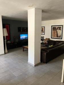 a living room with a couch and a tv at Beau Rez de Jardin in Ariana