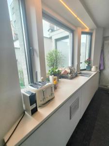 a kitchen counter with a toaster and a window at 2Bangkok residence in Ghent +49 photos
