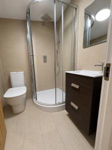 a bathroom with a shower and a toilet and a sink at The Old Pub Wiltshire A Unique Luxury Cellar Retreat with Private Sauna Gym and Movie Room in Patney +26 photos
