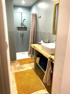 a bathroom with a sink and a shower at Maison entière cosy calme parking animaux ok in Carcassonne +7 photos