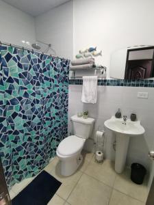 a bathroom with a toilet and a sink at Casita del Valle in San Cristóbal