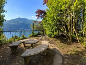 two stone benches sitting on a path near the water at Botanic Garden Lake Como in Blevio