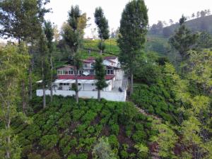 an aerial view of a house in a tea plantation at Mad & Nomad Backpackers Hostel in Coonoor