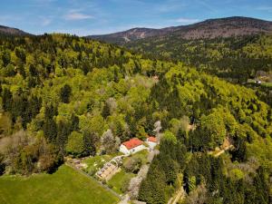 an aerial view of a house in the middle of a forest at Ferienwohnung Huskyhausen - Schlittenhunde Erlebnisse & Urlaub mitten in der Natur! in Klaffer am Hochficht