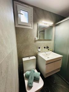 a bathroom with a white toilet and a sink at Petralia's Guest House in Skiathos