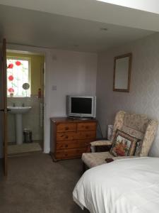 a bedroom with a bed and a television on a dresser at Hungarton Bed & Breakfast in Hungerton