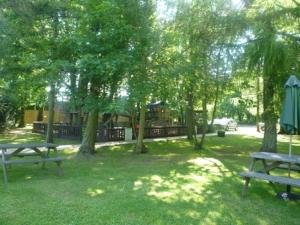 two benches in a park with trees and a fence at The Cottage Inn in Craster +3 photos