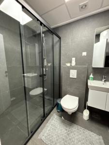 a bathroom with a shower and a toilet and a sink at Hug and Fly Apartment in Skopje +8 photos