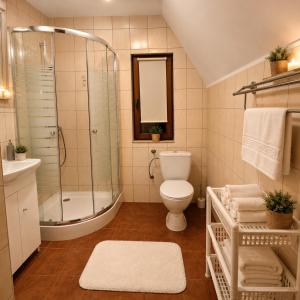 a bathroom with a shower and a toilet and a sink at Domki Bieszczady Siedlisko Harenda in Czarna +30 photos