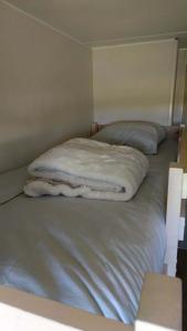 a bed in a room with two pillows on it at La roulotte des écuries in Saint-Pierre-de-Chemillé +1 photo