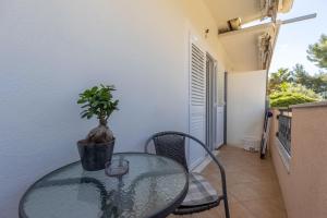 a glass table with a potted plant on a balcony at Apartman Lance in Kožino