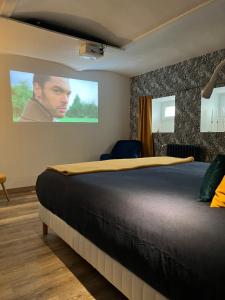 a bedroom with a large bed and a screen at Entre Nous - La Poste in Saumur