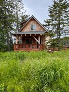 a house on top of a hill with tall grass at Homer Spit View Cabins - The Cottage in Homer