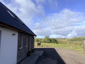 a barn with a horse in a field behind it at Abernethys Cottage in Connel +12 photos
