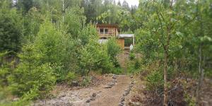 a small house in the middle of a forest at Rustic Cabin on Off-Grid Homestead in Brattfors +12 photos